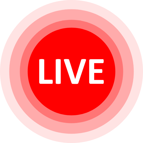 Estrip Chat Models